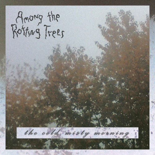 Among The Rotting Trees : The Cold, Misty Morning